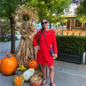 J Crew Eyelet mini dress